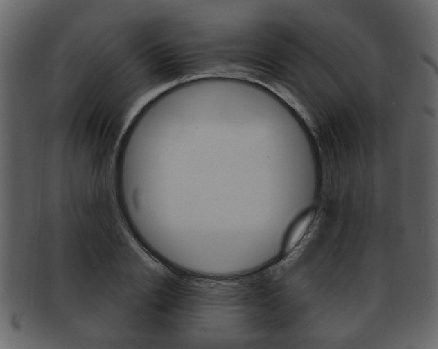 X0000093210838200709261423