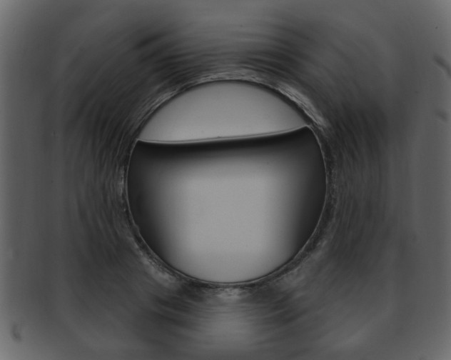 X0000093210841200709261423
