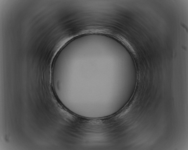 X0000093210844200709261424