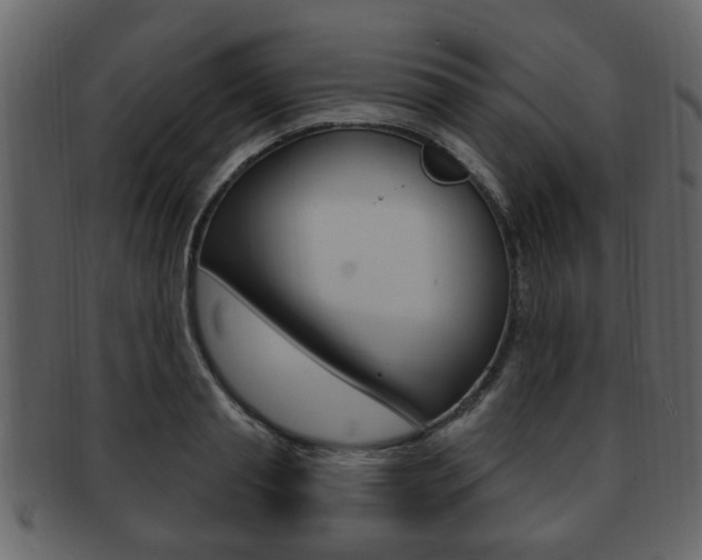 X0000093210845200709261424