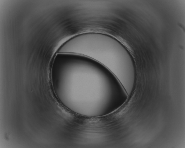 X0000093210846200709261424