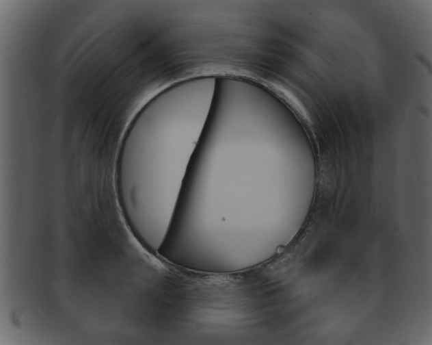 X0000093210847200709261424
