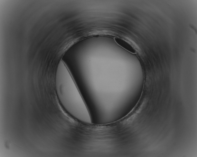 X0000093210849200709261424