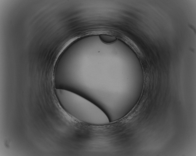 X0000093210852200709261424