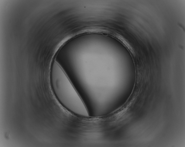 X0000093210853200709261424