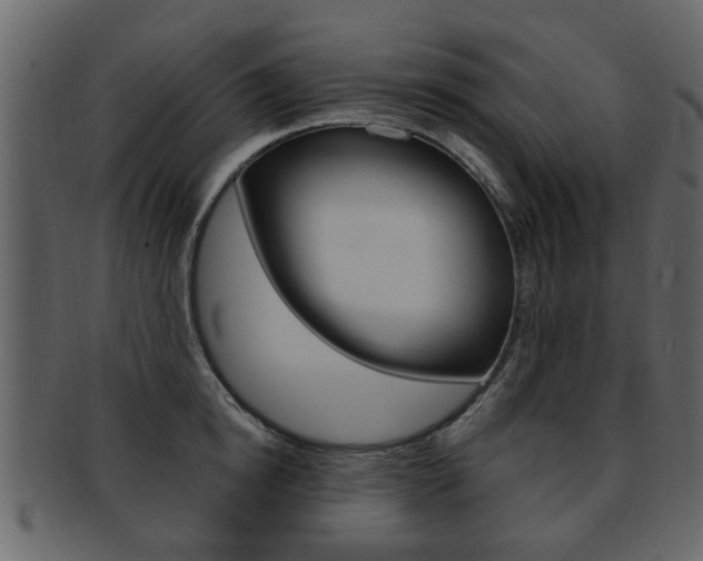 X0000093210854200709261424