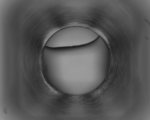 X0000093210855200709261424