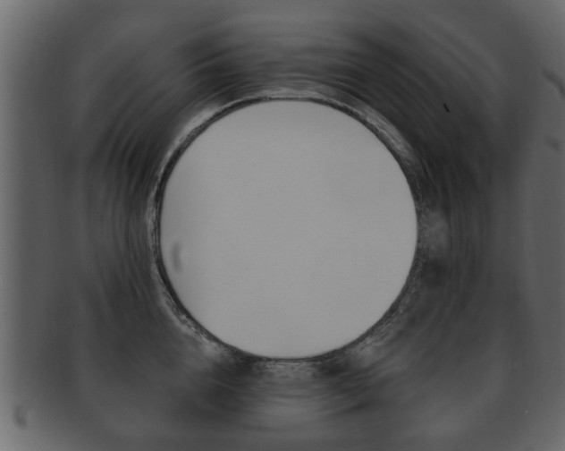 X0000093210856200709261424