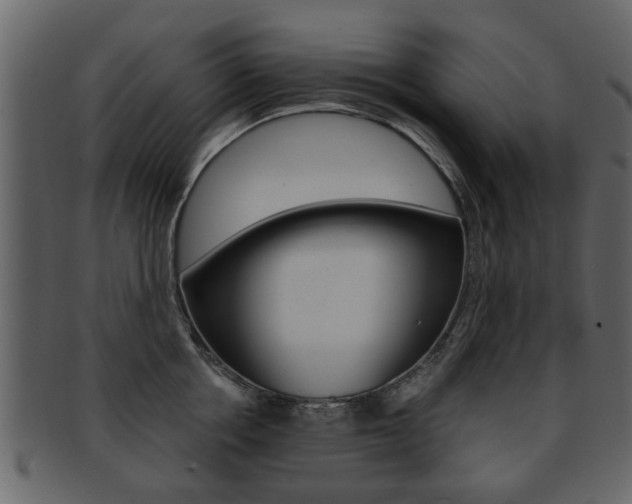 X0000093210858200709261424