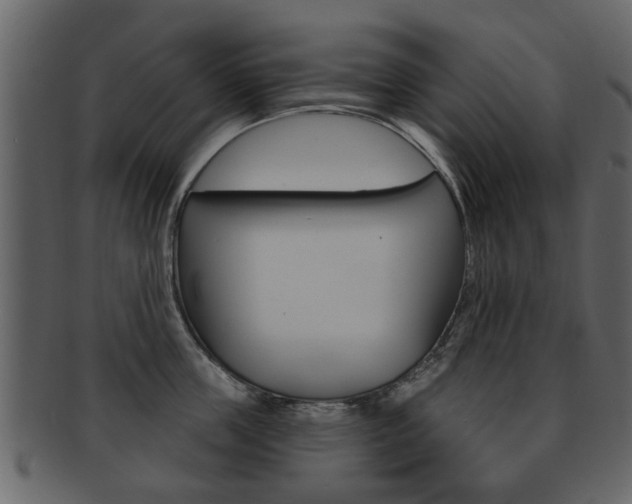 X0000093210859200709261424