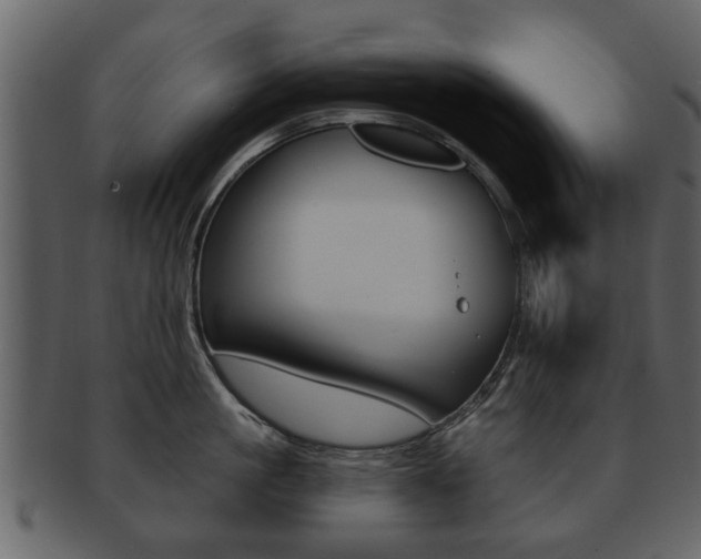 X0000093210861200709261424