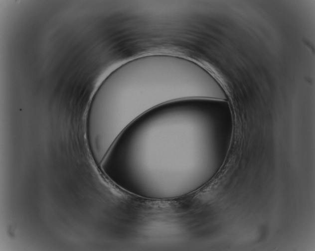 X0000093210862200709261424