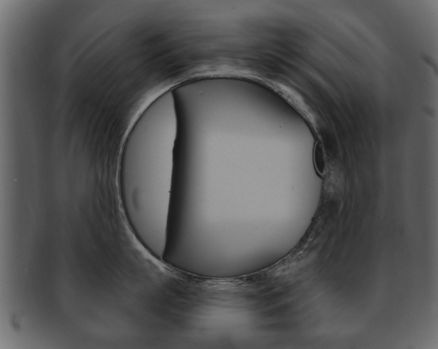 X0000093210863200709261424