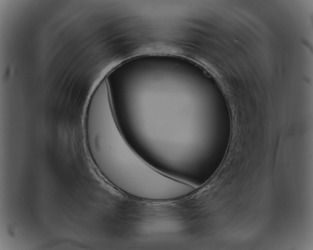 X0000093210864200709261424