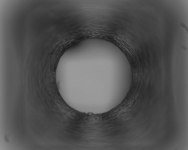 X0000093210865200709261423
