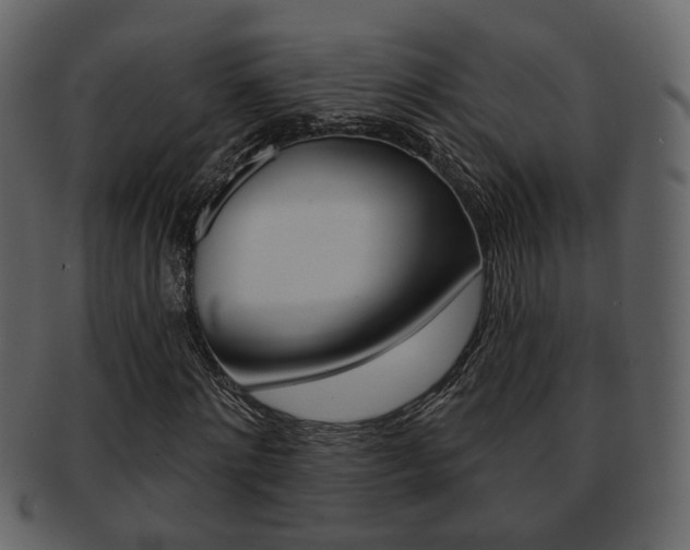 X0000093210868200709261423