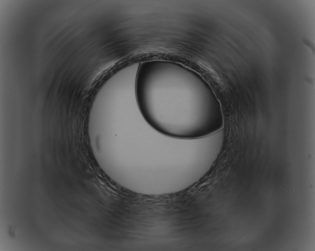 X0000093210872200709261423