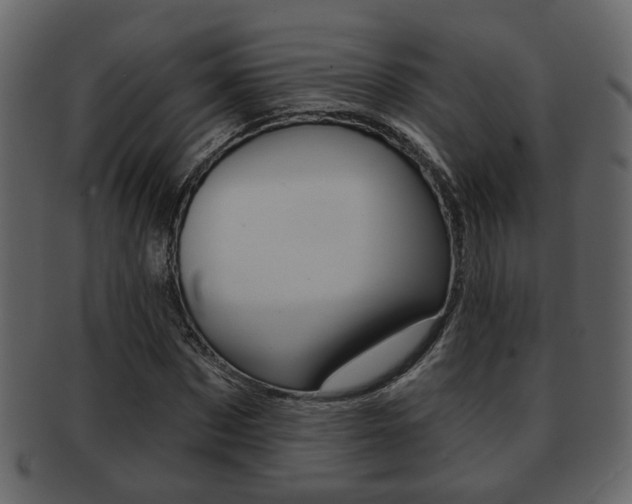 X0000093210873200709261423