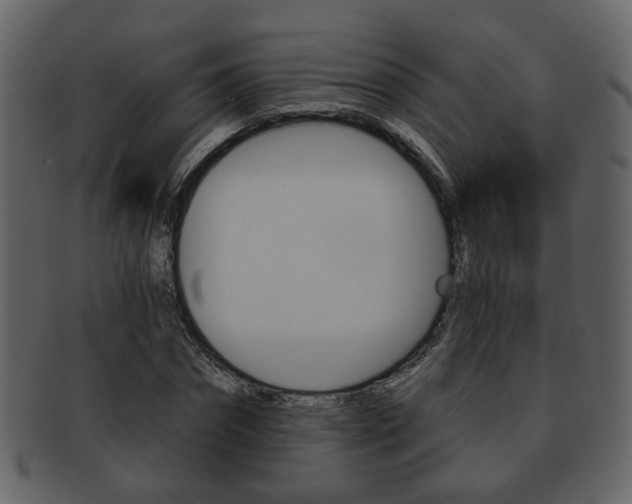 X0000093210874200709261423