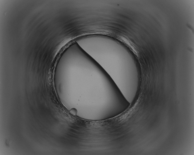 X0000093210875200709261423