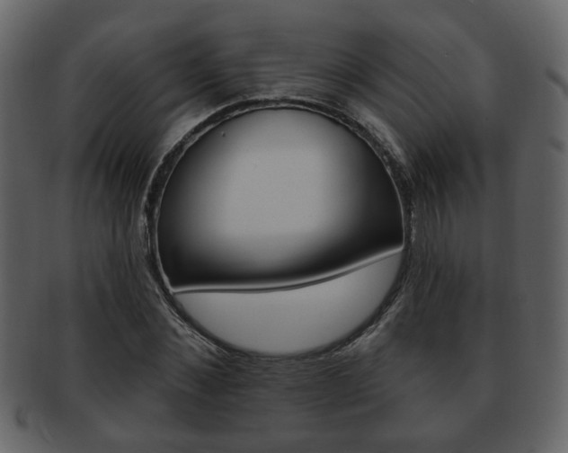 X0000093210876200709261423