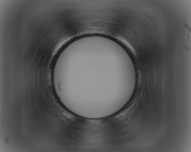 X0000093210878200709261423