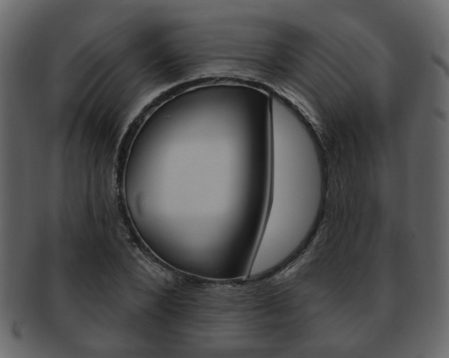 X0000093210880200709261423