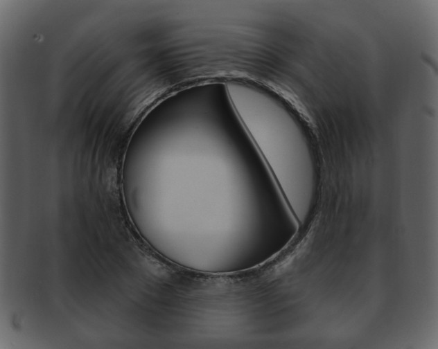 X0000093210881200709261423