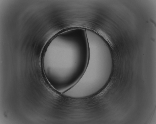 X0000093210884200709261423