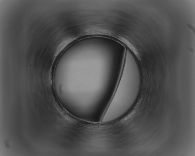 X0000093210885200709261423