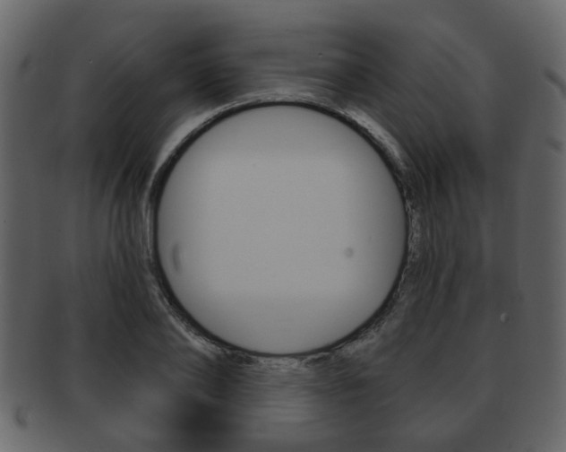 X0000093210886200709261423