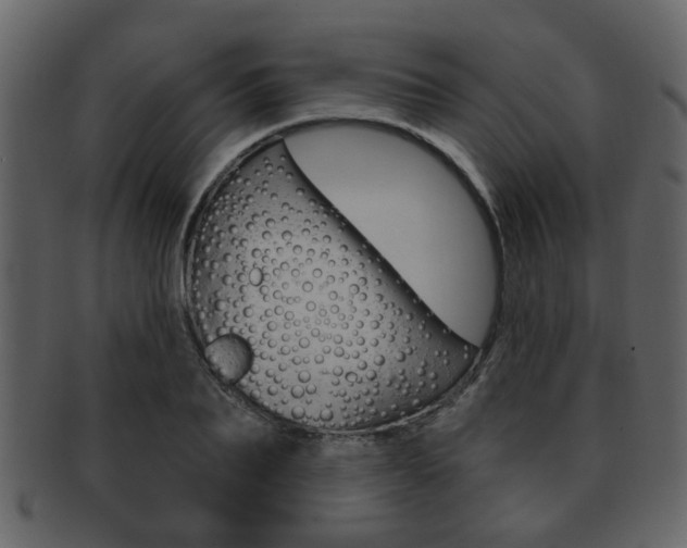 X0000093210887200709261423