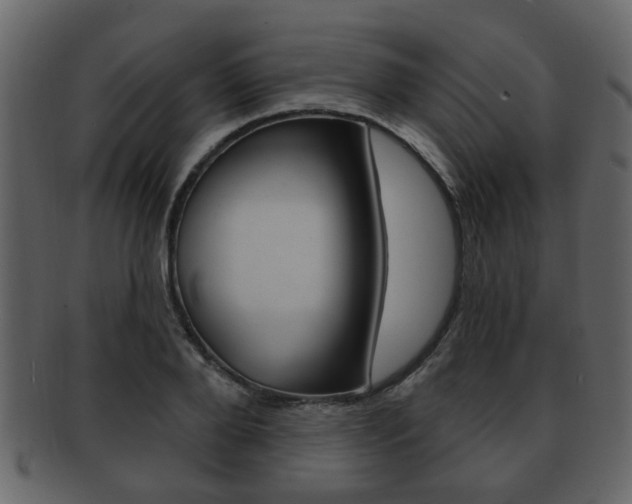 X0000093210888200709261423
