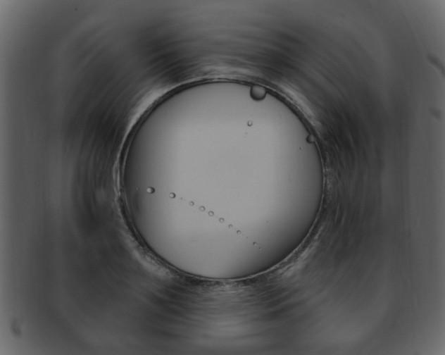 X0000093210891200709261423