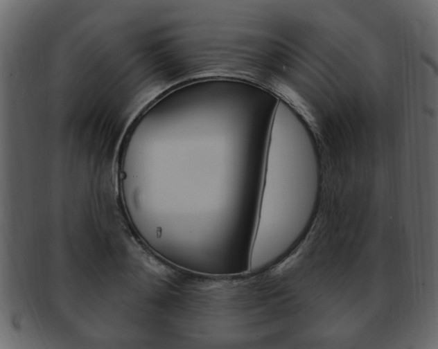 X0000093210892200709261423