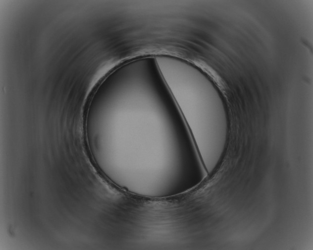 X0000093210894200709261423