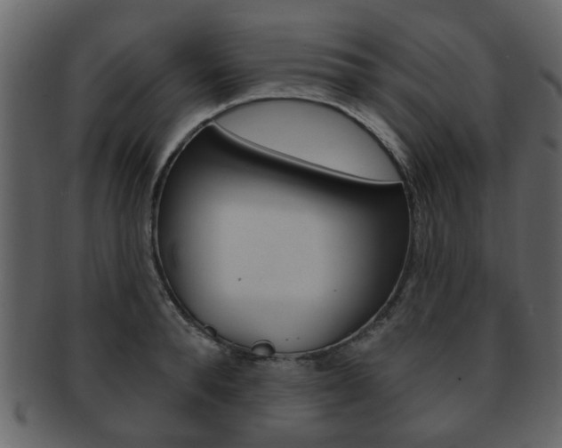 X0000093210896200709261423