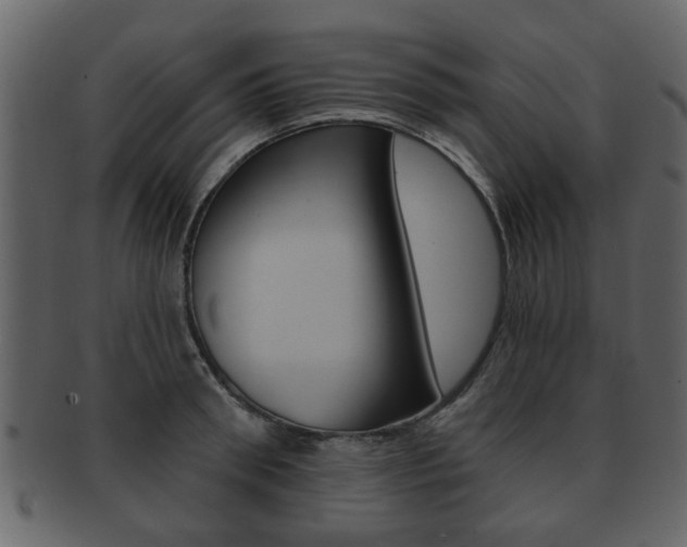 X0000093210898200709261423