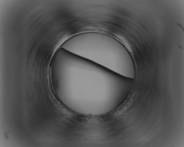 X0000093210899200709261423