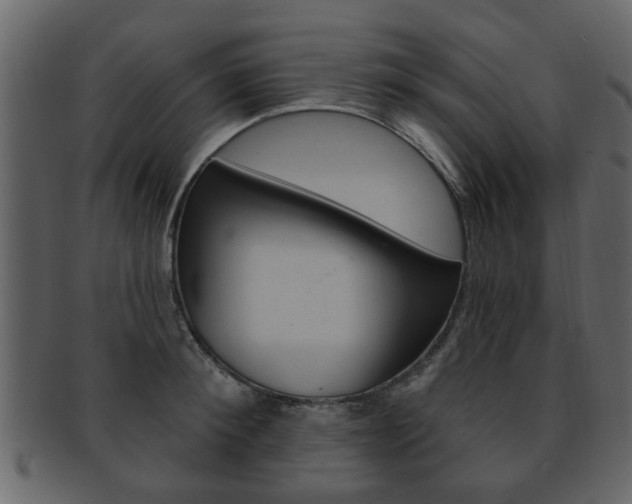 X0000093210900200709261423