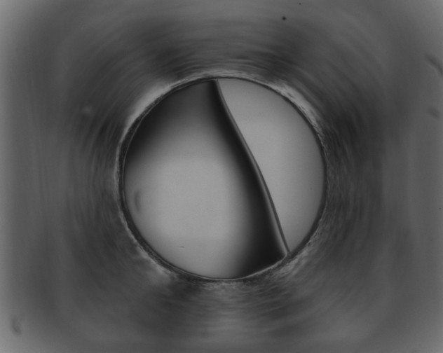 X0000093210902200709261423