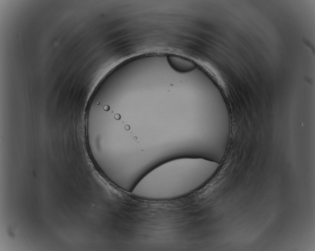 X0000093210903200709261423