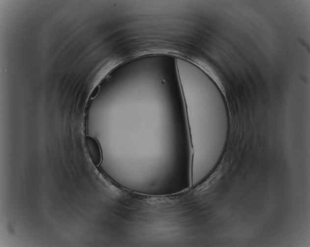 X0000093210906200709261423