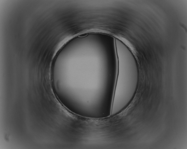 X0000093210910200709261423