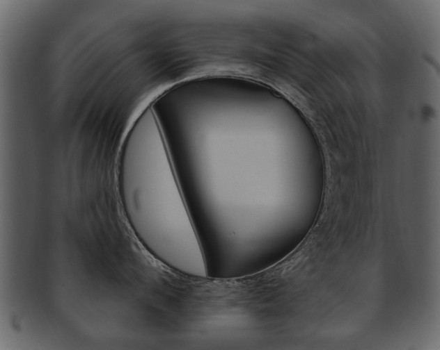 X0000093210912200709261423