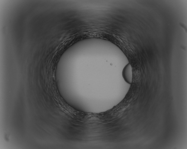 X0000093210913200709261422