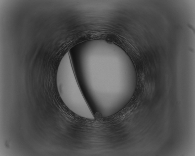 X0000093210914200709261422