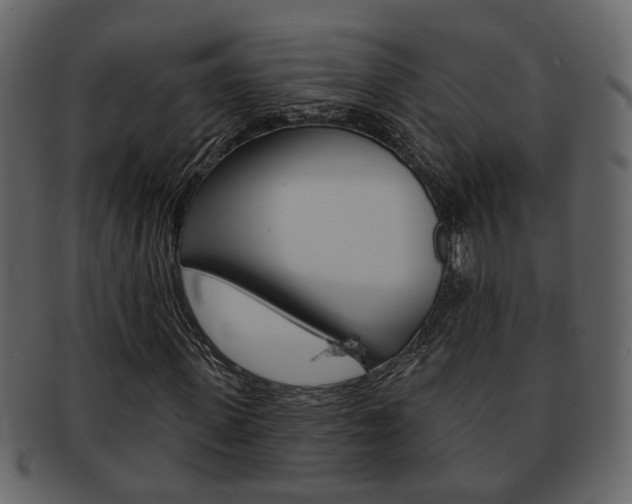 X0000093210915200709261422