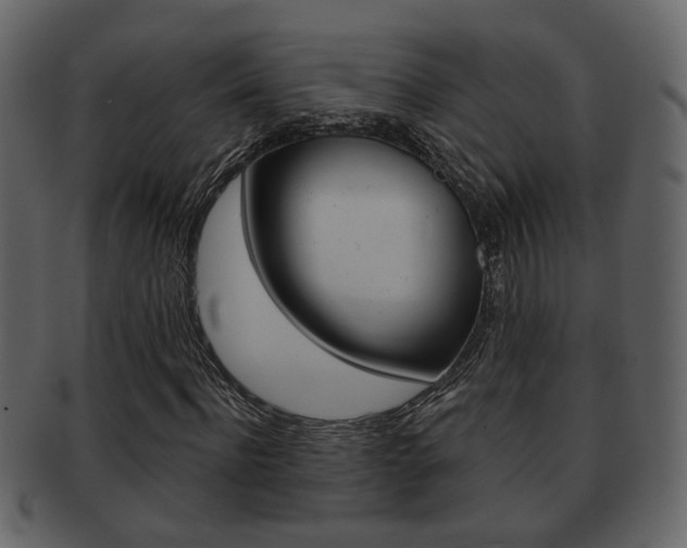 X0000093210916200709261422