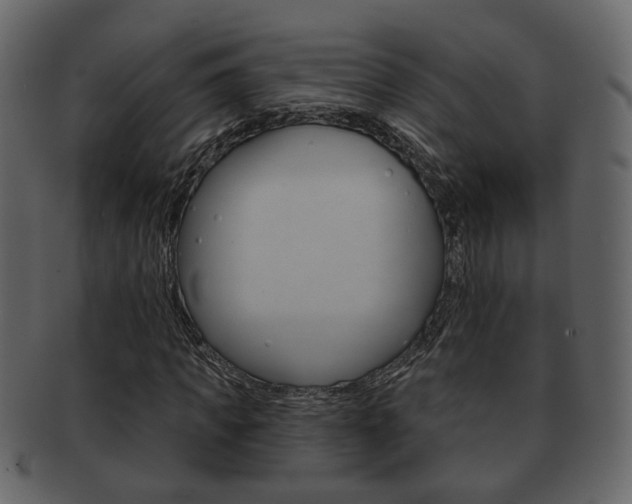 X0000093210917200709261422